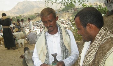 الزراعة