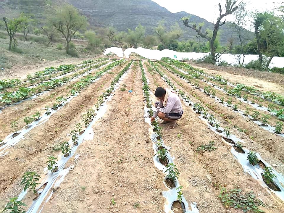 التكنولوجيا في الزراعة في متناول المزارعين الفقراء